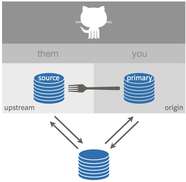 Setup described as 'fork'