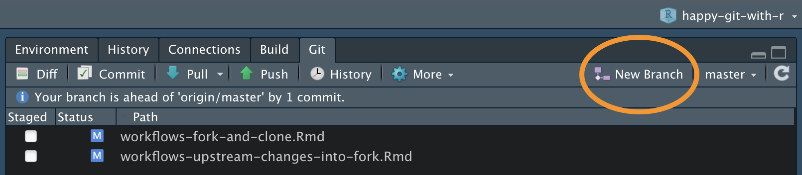 RStudio's New Branch button.