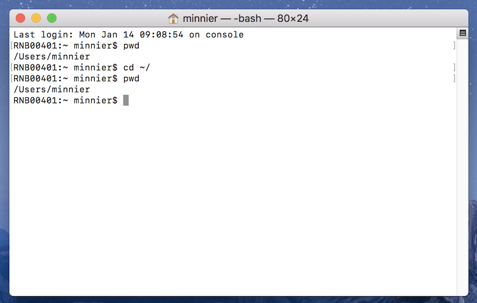 Git Shell. Git Bash. "Bash 80 * 24". Git Bash цитаты.
