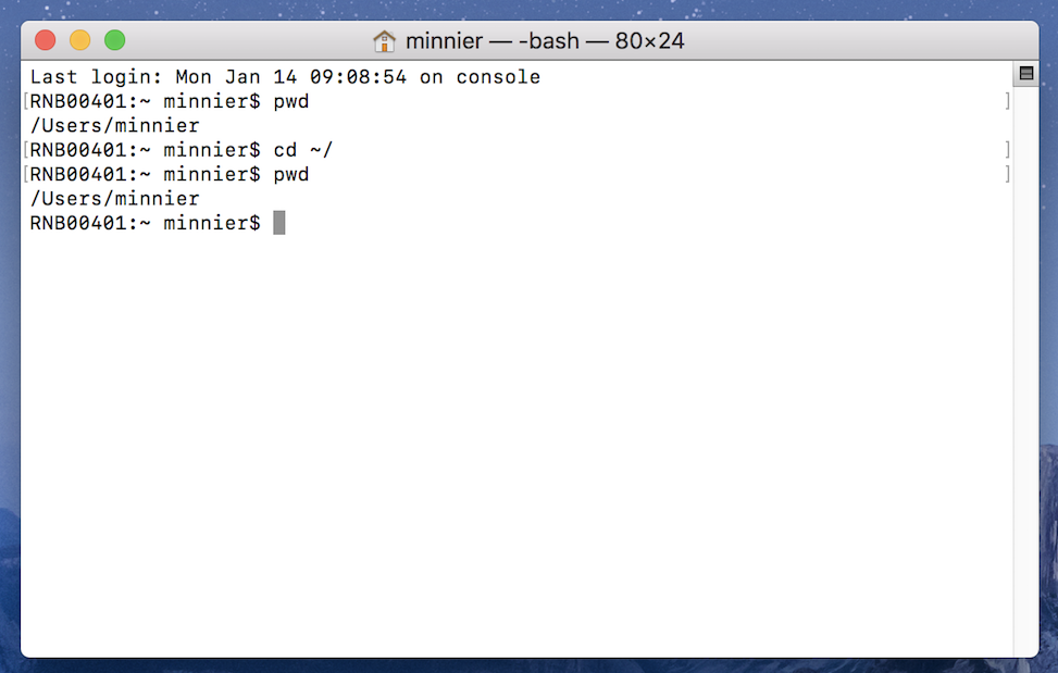 get git bash on mac